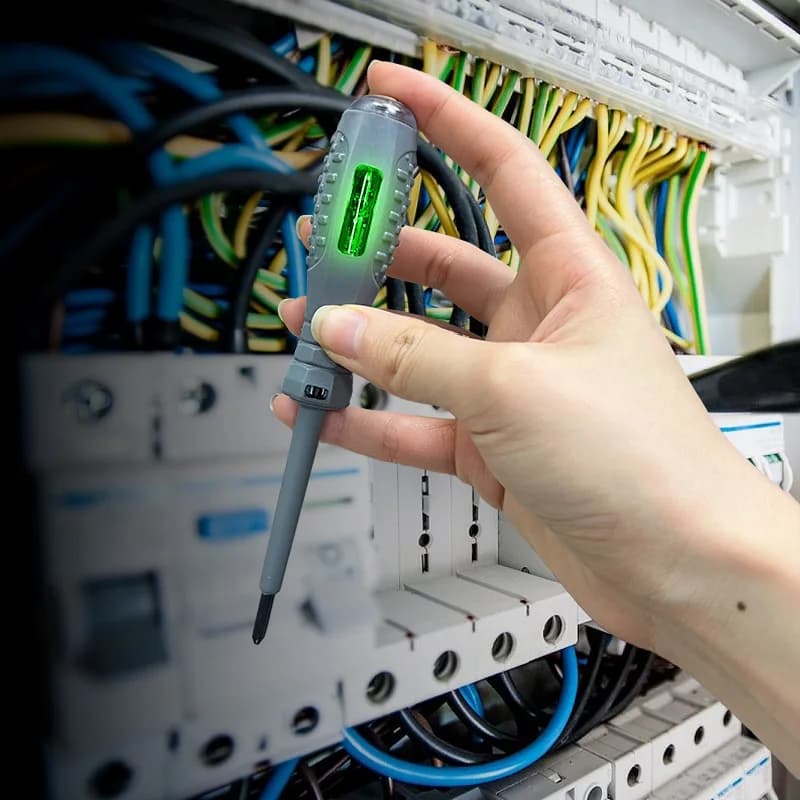 DELIXI ELECTRIC Test Pencil Voltage Detector Electrician Phillips Screwdriver /Flat Screwdriver Professional Hand Tools