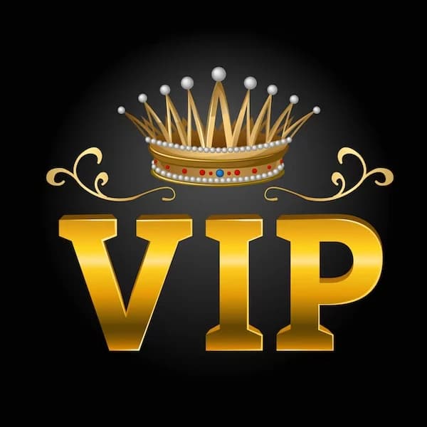 VIP link 2