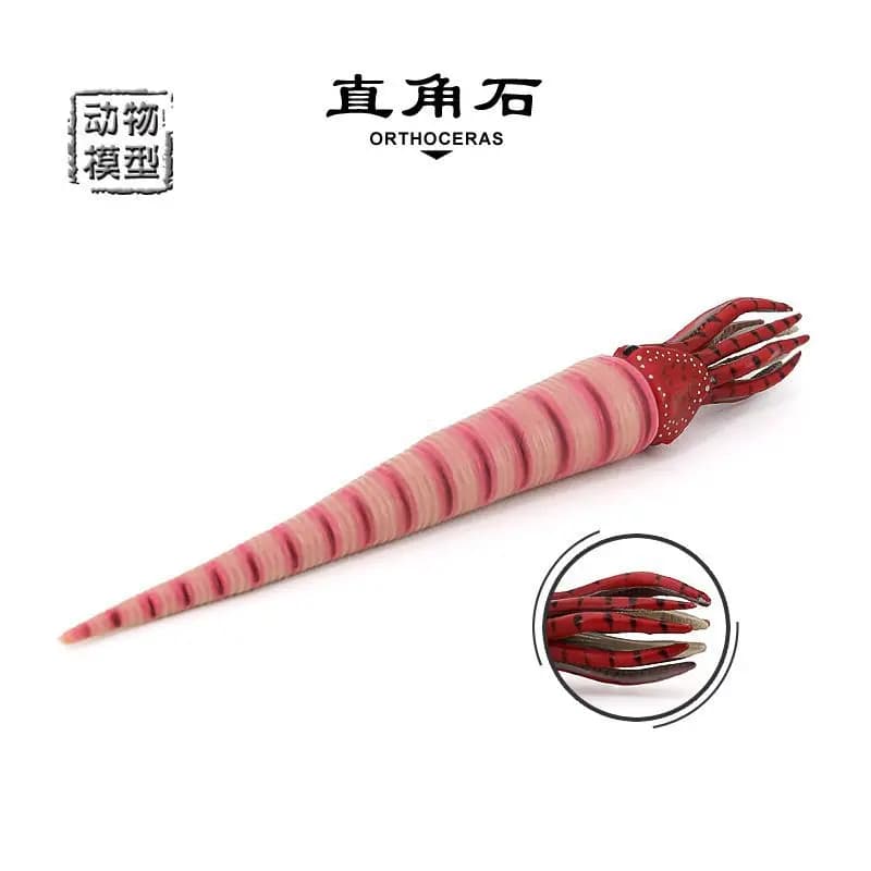 Simulation marine life Undersea animal model Children's cognitive toys Ancient creatures Right angle stone Nautilus ornament