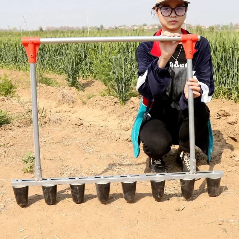 Agricultural Tools Peanut Vegetable Farm Work Hole Transplanting Machine Seedling Transplanting Machine