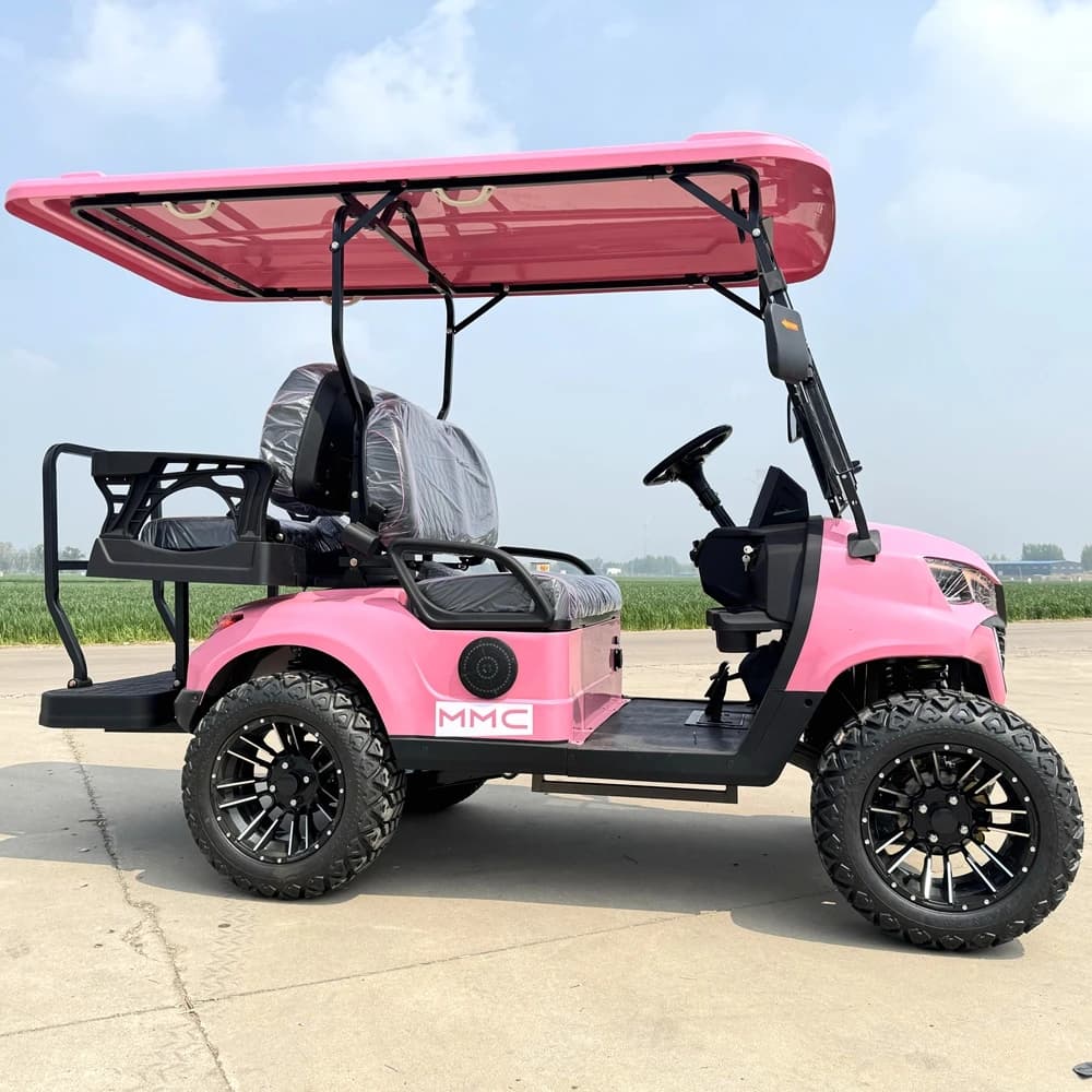 Graceful Design Sightseeing Bus Utility Vehicle Lithium Battery Waterproof Speaker Multi-color Flashing Electric Golf Carts