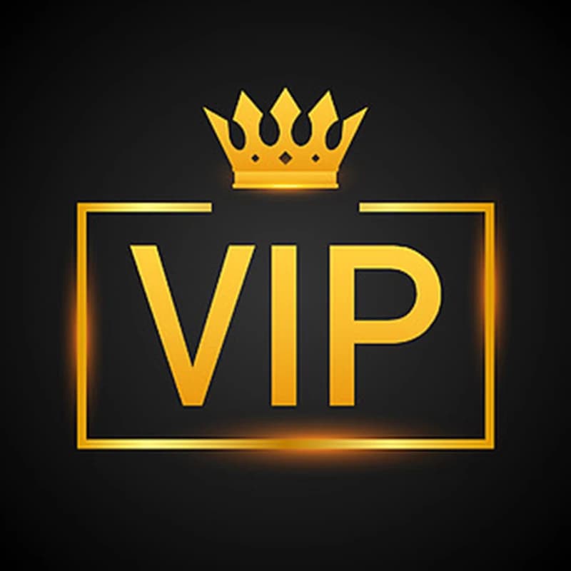 VIP Customized Customer