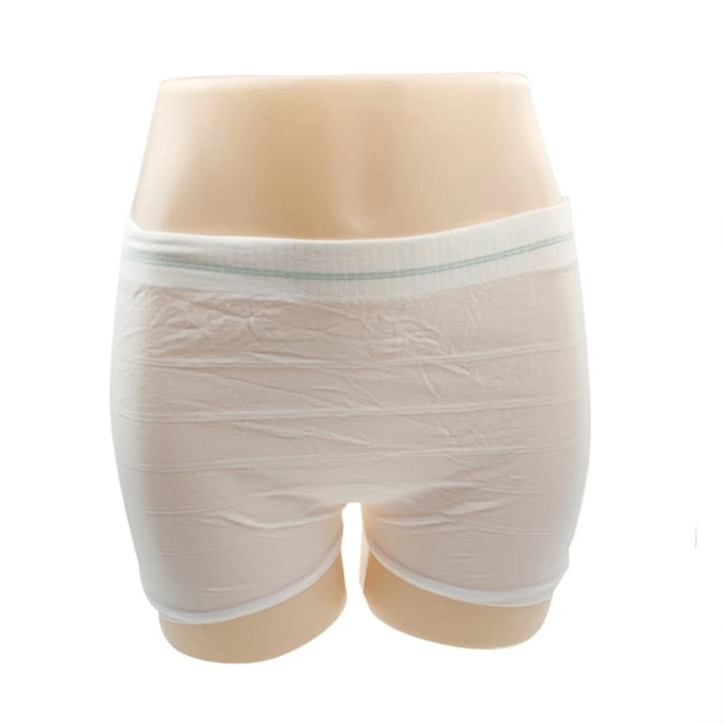 Pack of 10 Disposable Women's Panties Breathable Mesh Underwear Briefs for Travel and Postpartum Hospital Recovery