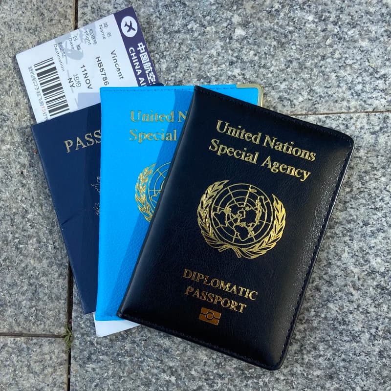 Diplomatic Passport Cover Women Fashion Cute Case Passport Travel Document Passport Organizer Pu Leather Protector Pasport Case