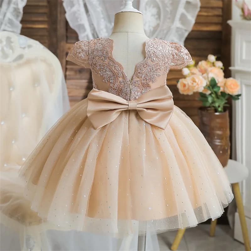 Champagne Flower Girl Dress Vintage Lace Princess Ball Gown Toddler Christening Birthday Prom Gown Bow V-Back Tulle Tutu Dresses