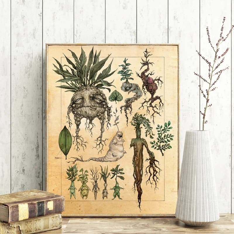 Harry Potter Fan Art Mandrake Plant Cute Decor Illustration Classic Movie Poster for Kids Room Wall Art Decoration Unframed