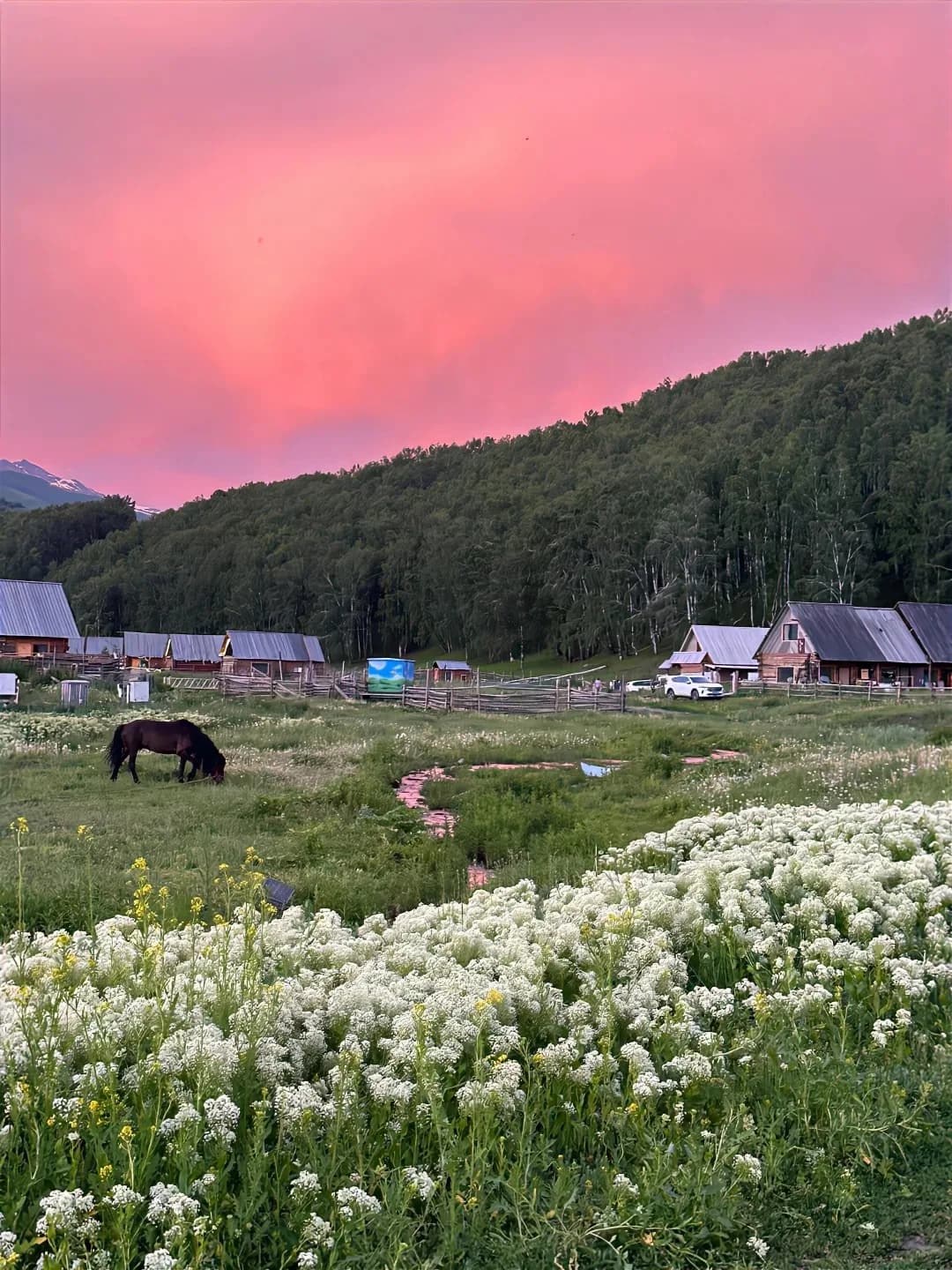 new new Payment Link B