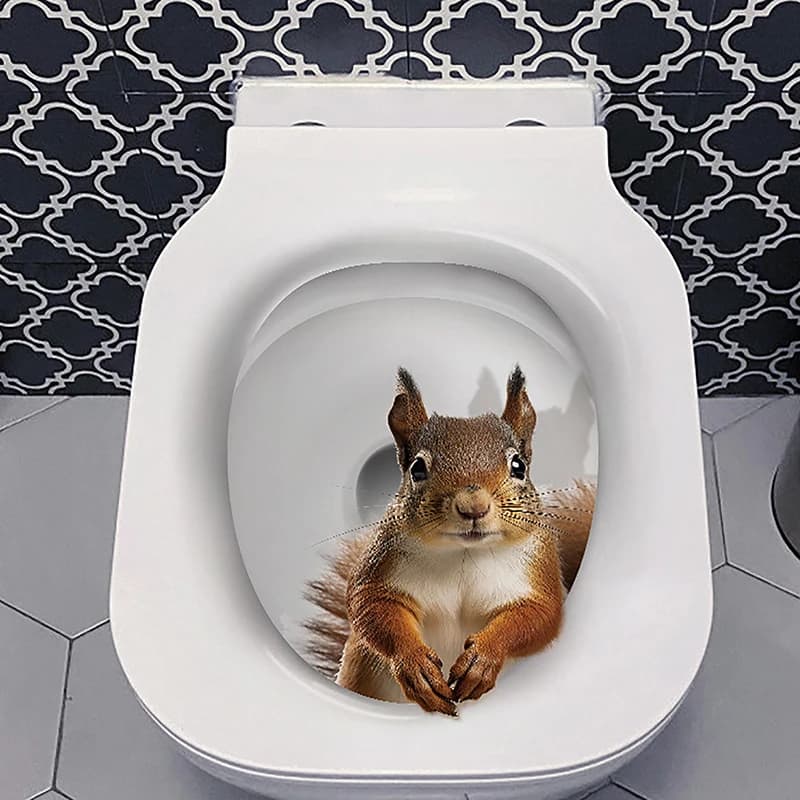 1PC Water Resistant Toilet Lid Sticker Novelty Creative Funny Toilet Seat Decals Squirrel Toilet Sticker
