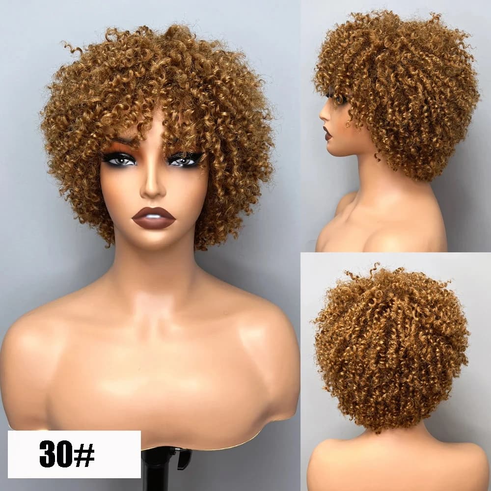 Short Afro Kinky Curly Human Hair Wigs Brazilian Remy 99J Brown Colored Curly Wig Blonde Human Hair Wig With Bang Wigs For Women