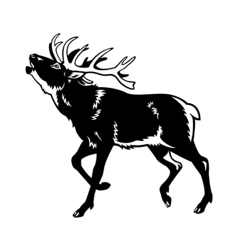 For freight logistics postage difference & custom-made exclusive product.