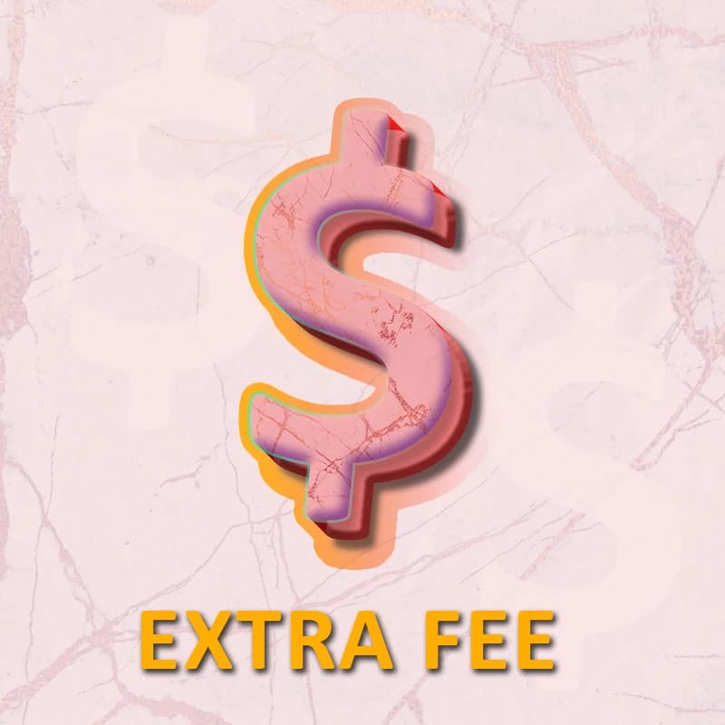 Pay For Shipping fee, Extra fee, for fast shipping DHL/FEDEX/TNT, Lashes or other special orders