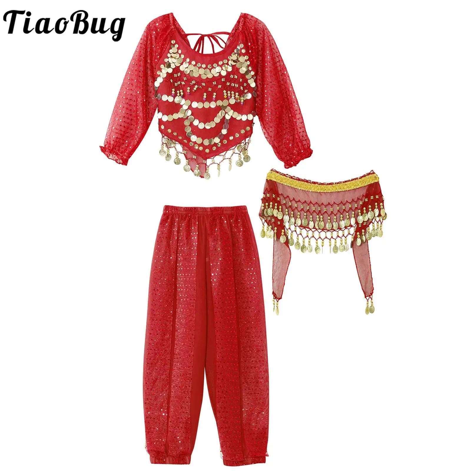 Girls India Belly Dance Arabian Princess Performance Costume Long Sleeve Crop Top with Harem Pants Hip Scarf Bellydance for Kids