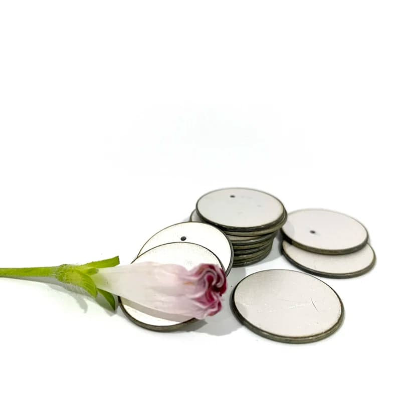 1Lot/50Pcs 12x1mm Disk Piezo Electric Ceramic Positive And Negative On Same Side