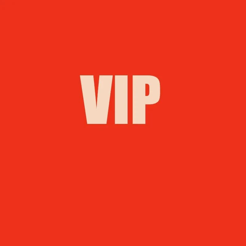 THE VIP LINK 2