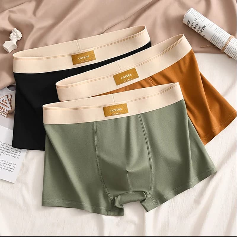 We.Fine 3pcs 2024 New Fashion Men's Briefs Cotton Breathable Underpants Sexy Comfortable For Men Solid Color Men Underpants