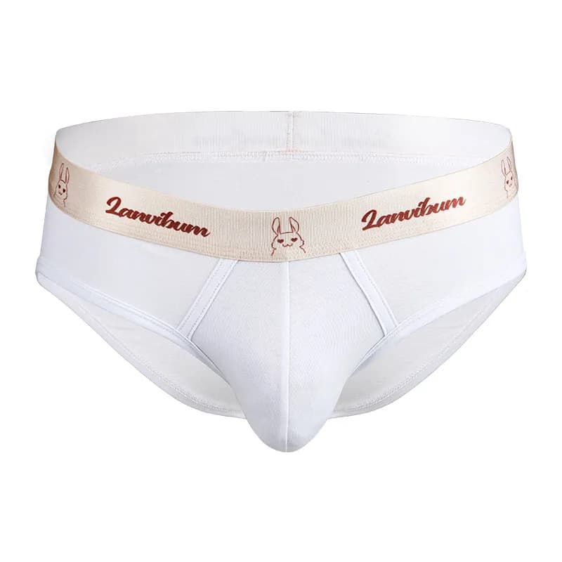 ropa interior sexi para hombre calzoncillos slips hombre suspensorio masculino slip underwear men slip sexxy