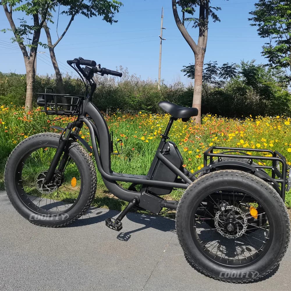 High Performance 48V 750W 1000W 24AH Wheels Tricycles 3 Wheel Electric Cargo Bike