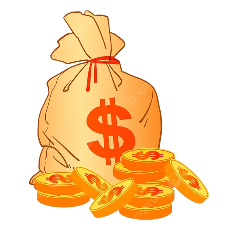 Extra Custom Fee Design Fee Payment Link