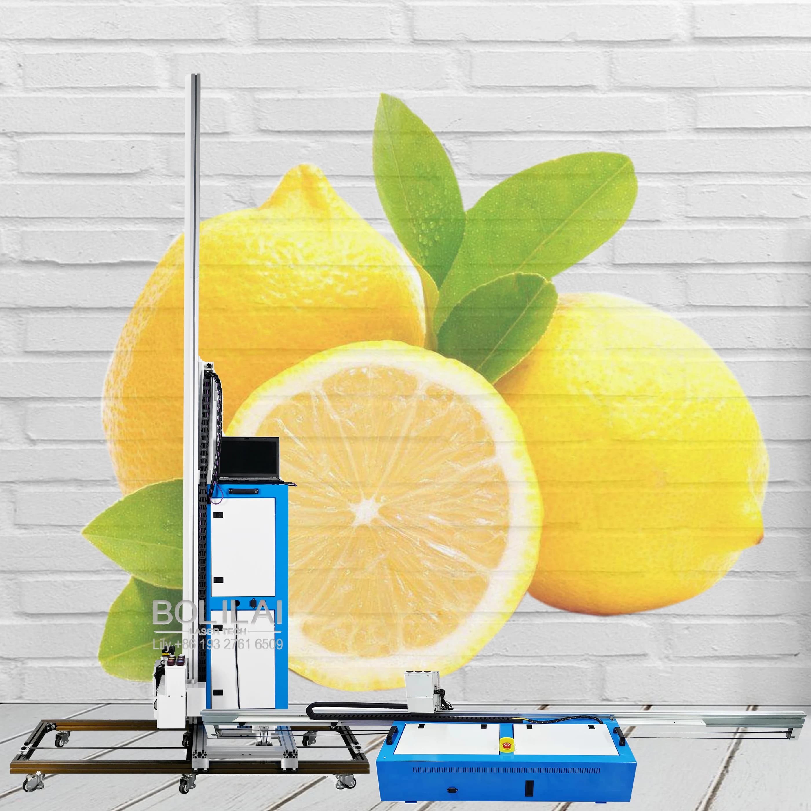 Bolilai Advertisement Printing Automatic UV Printer Board Poster Printing Machine Wall And Floor Printer