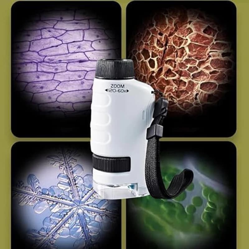 Children's Handheld Microscope, Portable Microscope For Primary And Secondary School Students White Durable Easy To Use
