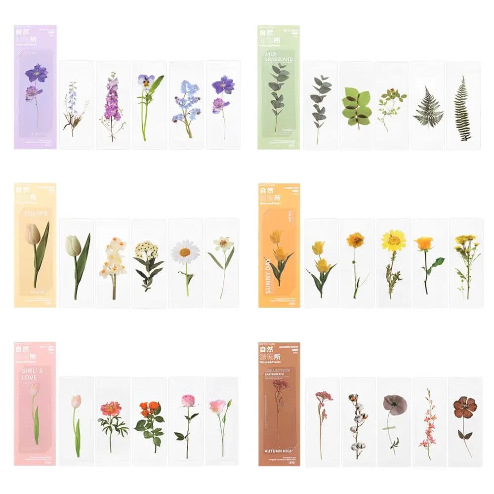 Book Note Marker PET Page Holder Reading Mark Bookmarks Card Translucent Flower Nature Plants Bookmarks Specimen Bookmarks