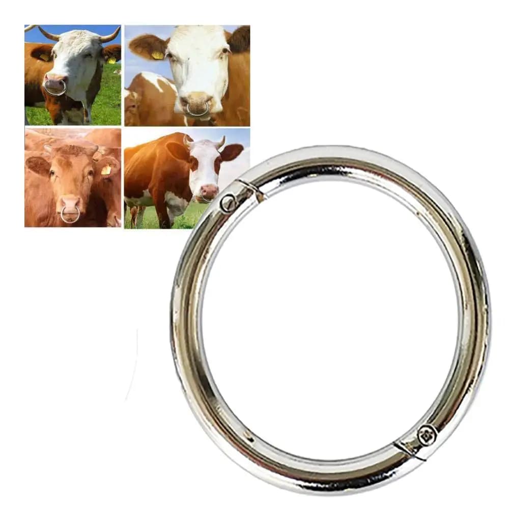 Large Stainless Steel Nose Ring for Cows - Bull Cow Husbandry Accessory with Cattle Traction and Big Circle